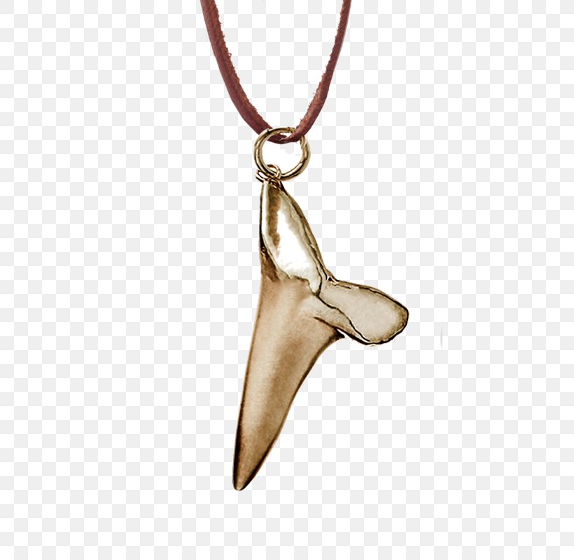 Charms & Pendants Shark Tooth Jewellery Necklace, PNG, 800x800px, Charms Pendants, Bangle, Chain, Dimension, Fashion Accessory Download Free