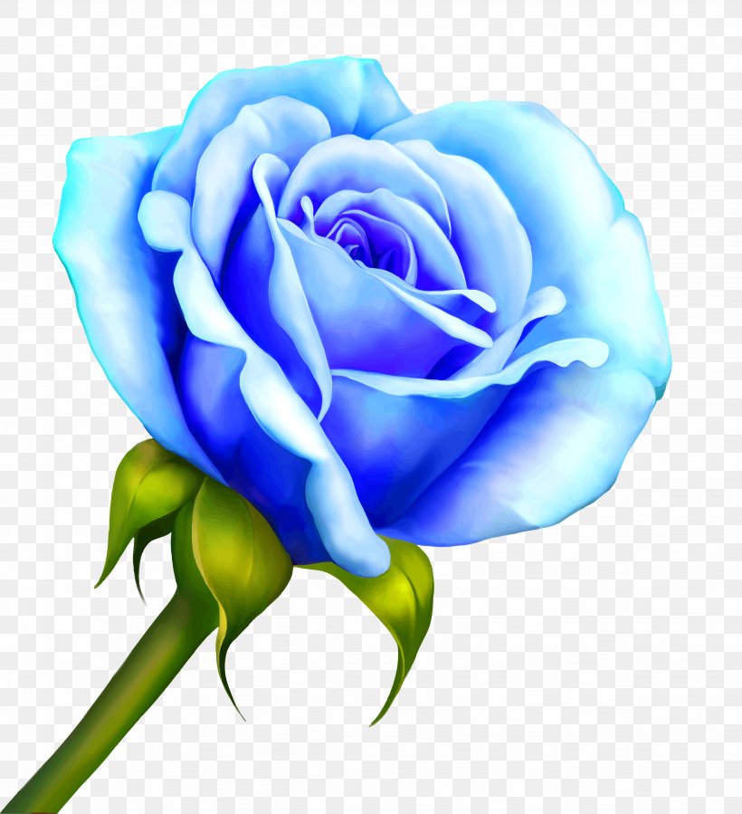 Drawing Clip Art, PNG, 4518x4956px, Drawing, Art, Blue, Blue Rose, Close Up Download Free