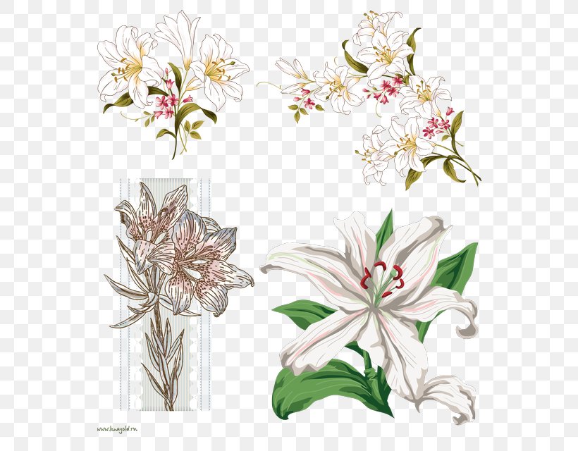 Easter Lily Background, PNG, 600x640px, Floral Design, Arumlily, Blume, Crinum, Cut Flowers Download Free
