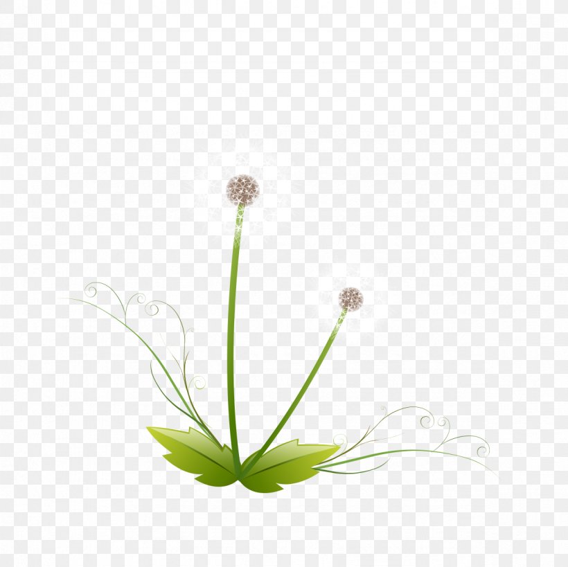 Green Grass Clip Art, PNG, 1181x1181px, Green, Branch, Flora, Floral Design, Flower Download Free