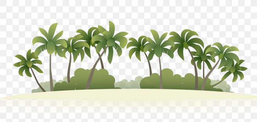 Summer Vacation Beach Island, PNG, 1617x771px, Summer, Graphic Designer, Grass, Green, Leaf Download Free