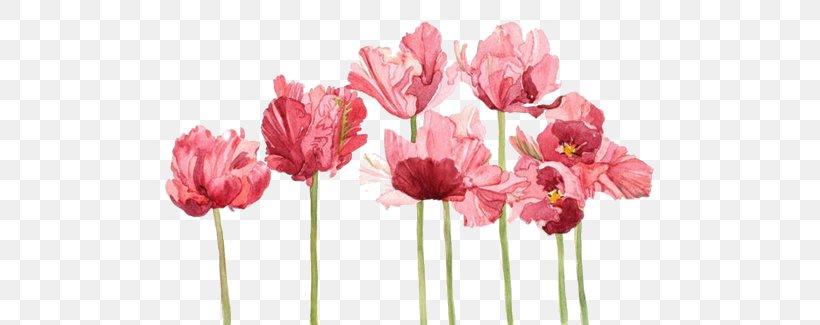Watercolor Painting Tulip Watercolor: Flowers Art, PNG, 500x325px, Watercolor Painting, Art, Artificial Flower, Color, Cut Flowers Download Free