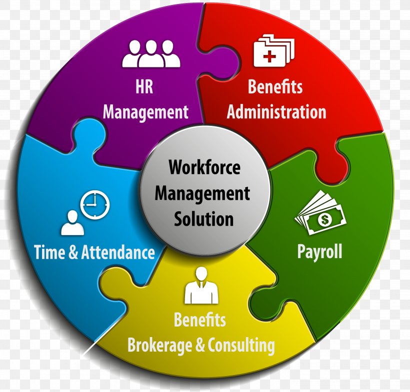 Workforce Management Organization Human Resource Consulting, PNG, 2847x2726px, Workforce Management, Area, Brand, Compact Disc, Consultant Download Free