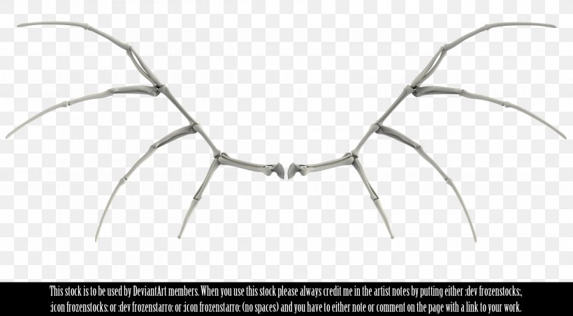 Bone Human Skeleton Image Bird, PNG, 2500x1383px, Bone, Bird, Black And White, Deviantart, Drawing Download Free