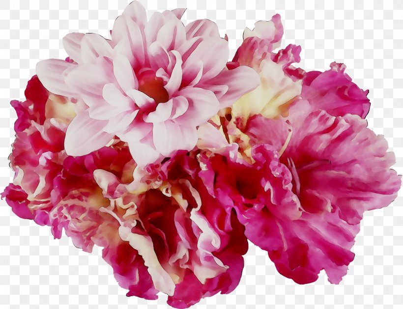 Lily Cut Flowers Peony Carnation, PNG, 2406x1846px, Lily, Assortment Strategies, Bud, Carnation, Chinese Peony Download Free