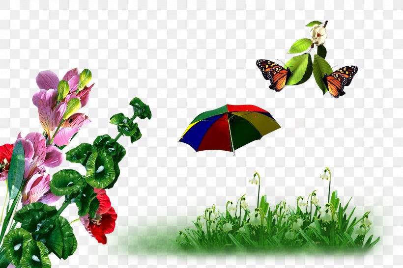 Song, PNG, 1600x1067px, Song, Backup, Butterfly, Flora, Grass Download Free