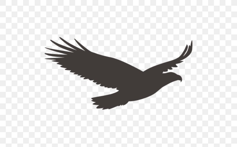Bald Eagle Vulture Bird Beak, PNG, 512x512px, Bald Eagle, Accipitriformes, Beak, Bird, Bird Of Prey Download Free