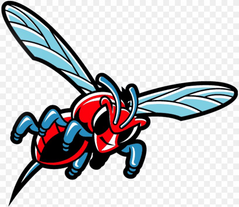 Delaware State University Delaware State Hornets Football Division I (NCAA) Clip Art, PNG, 2293x1985px, Delaware State University, Artwork, Delaware, Delaware State Hornets, Delaware State Hornets Football Download Free
