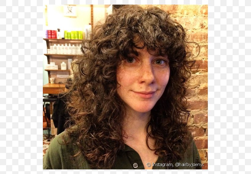 Hairstyle Shag Hair Coloring NaturallyCurly.com, PNG, 790x569px, Watercolor, Cartoon, Flower, Frame, Heart Download Free