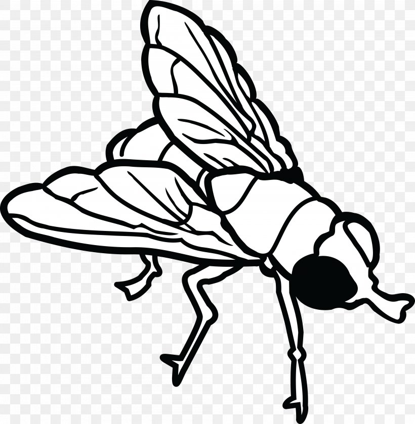 Insect Line Art Clip Art, PNG, 4000x4096px, Insect, Artwork, Black And White, Butterfly, Drawing Download Free