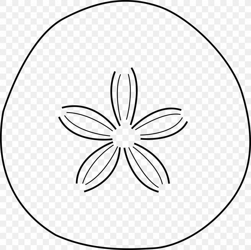 Sand Dollar Starfish Clip Art, PNG, 2410x2400px, Sand Dollar, Area, Artwork, Beach, Black Download Free