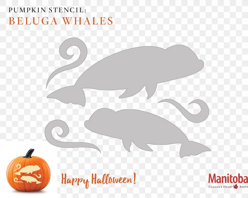The Pumpkin Carving Book The Pumpkin Carving Book Stencil, PNG, 2845x2274px, Carving, Animal, Art, Beluga Whale, Brand Download Free
