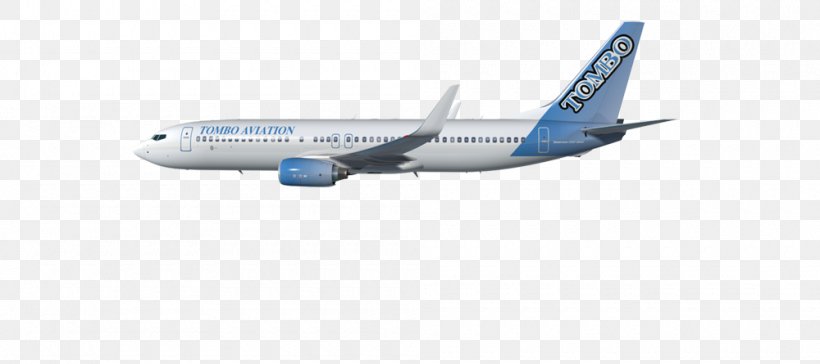 Boeing 737 Next Generation Boeing 787 Dreamliner Boeing 767 Boeing C-32 Boeing C-40 Clipper, PNG, 1000x445px, Boeing 737 Next Generation, Aerospace, Aerospace Engineering, Air Travel, Airbus Download Free