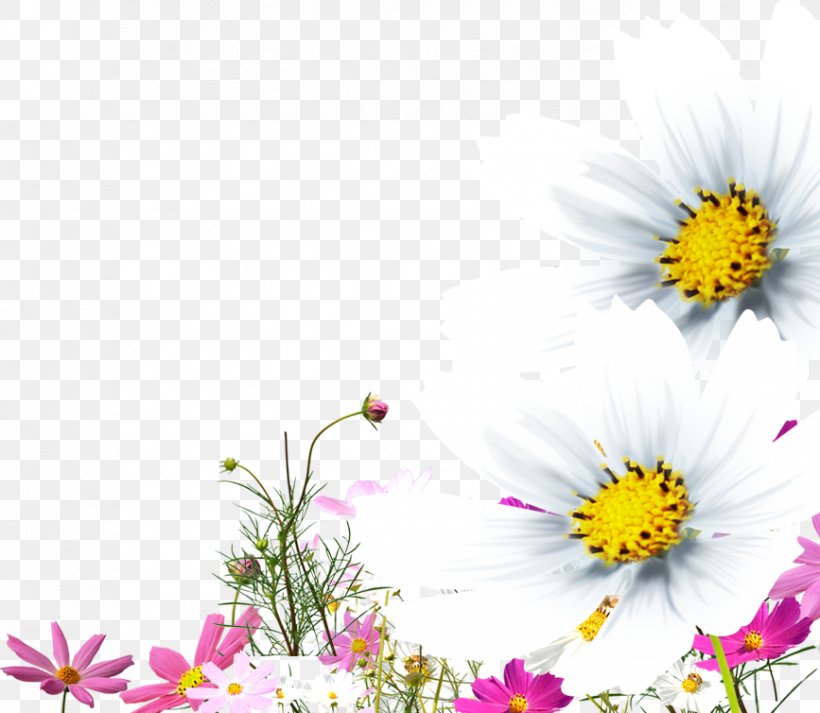 Chrysanthemum Oxeye Daisy Clip Art, PNG, 867x754px, Chrysanthemum, Chamaemelum Nobile, Chrysanths, Daisy, Daisy Family Download Free