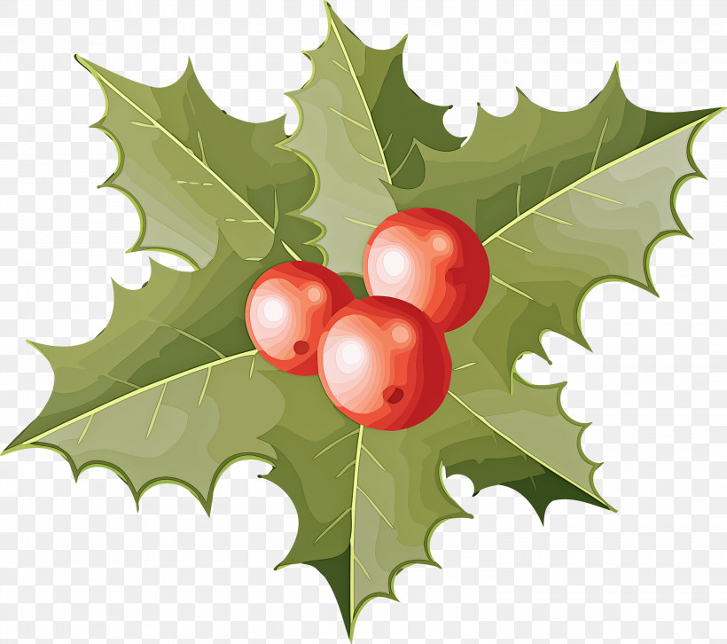 Holly Christmas Ornament, PNG, 3000x2659px, Holly, American Holly, Branch, Christmas Ornament, Flower Download Free