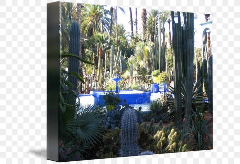 Majorelle Blue Majorelle Garden Landscape Landscaping Tree, PNG, 650x560px, Majorelle Blue, Blue, Landscape, Landscaping, Majorelle Garden Download Free