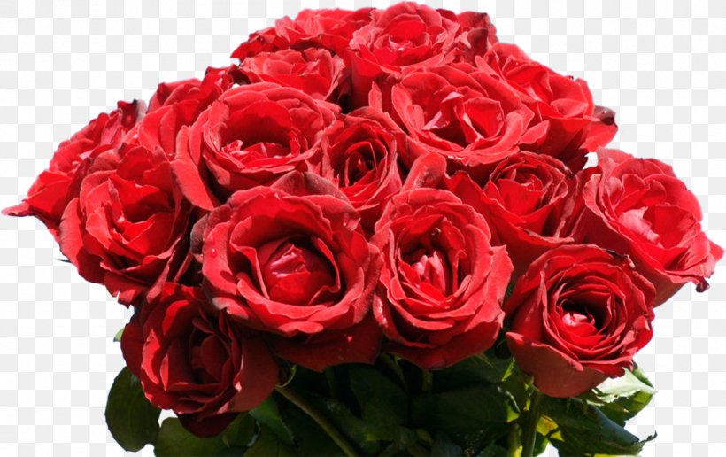 Rose Flower Bouquet Desktop Wallpaper Red, PNG, 953x600px, Rose, Artificial Flower, Color, Cut Flowers, Floral Design Download Free