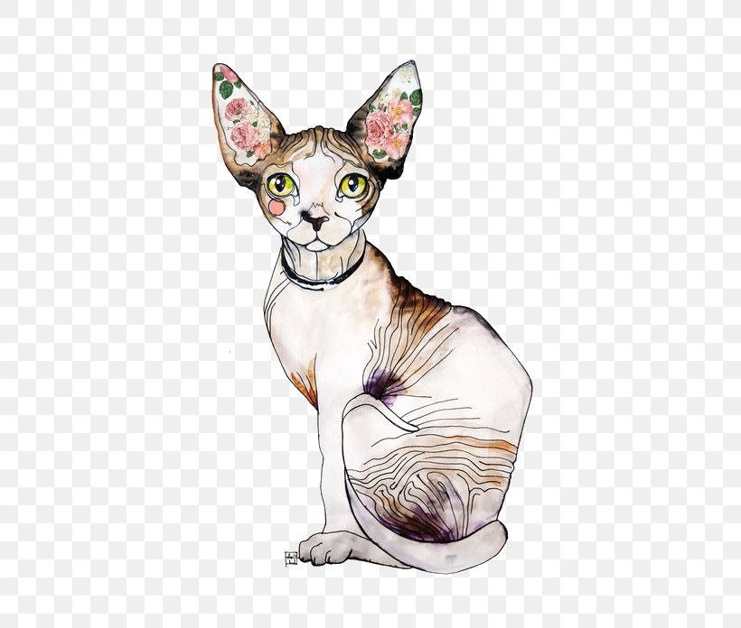 Sphynx Cat Donskoy Kitten Peterbald Persian Cat, PNG, 500x696px, Sphynx Cat, American Wirehair, Animal, Carnivoran, Cat Download Free