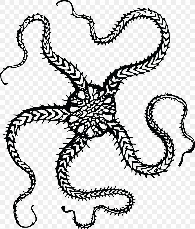 T-shirt Starfish Brittle Star Clip Art, PNG, 4000x4697px, Tshirt, Animal, Artwork, Black And White, Brittle Star Download Free