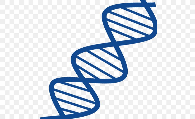 DNA Nucleic Acid Double Helix Gene RNA Nucleic Acid Structure, PNG, 500x500px, Dna, Area, Biology, Black And White, Blue Download Free