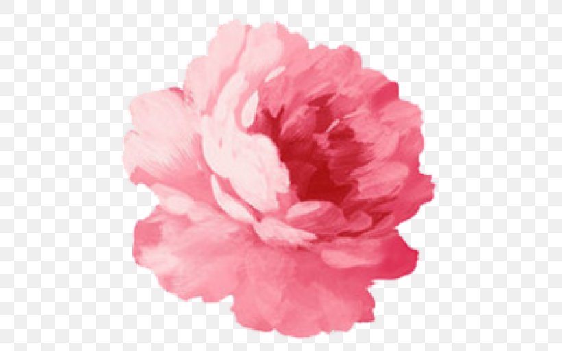 Paper Pink Flowers Sticker, PNG, 512x512px, Paper, Azalea, Carnation, Cut Flowers, Flower Download Free