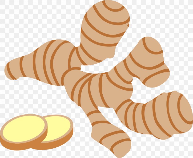 Ginger Masala Chai Image Food Condiment, PNG, 1500x1227px, Ginger, Arm, Big Cats, Carnivoran, Cartoon Download Free