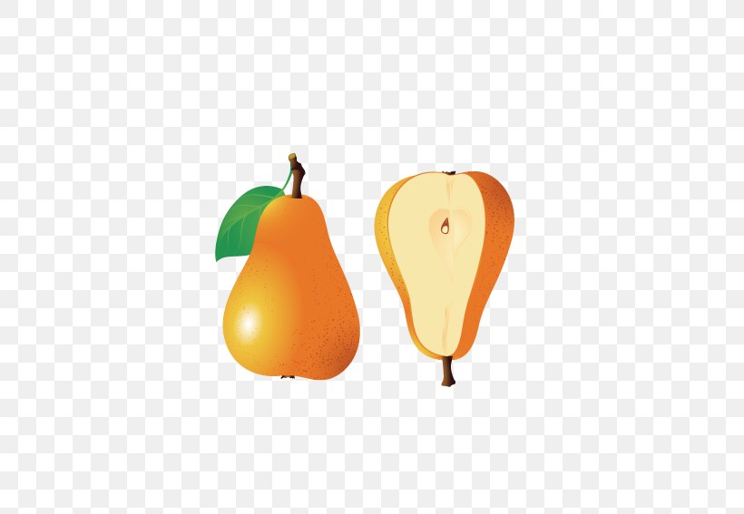 Pear Computer File, PNG, 567x567px, Pear, Apple, Food, Fruit, Image File Formats Download Free