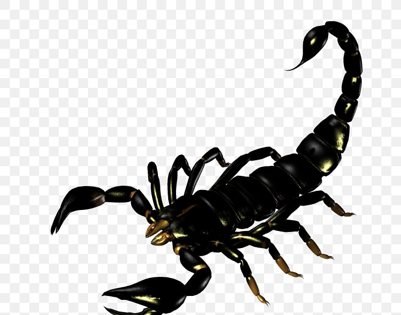 Scorpion Silhouette Clip Art, PNG, 731x645px, Scorpion, Arthropod, Cartoon, Drawing, Insect Download Free