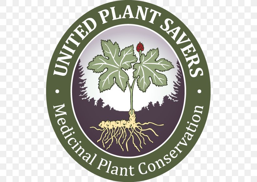 United Plant Savers Medicinal Plants United States Goldenseal, PNG, 525x579px, United Plant Savers, Brand, Goldenseal, Healing, Herb Download Free