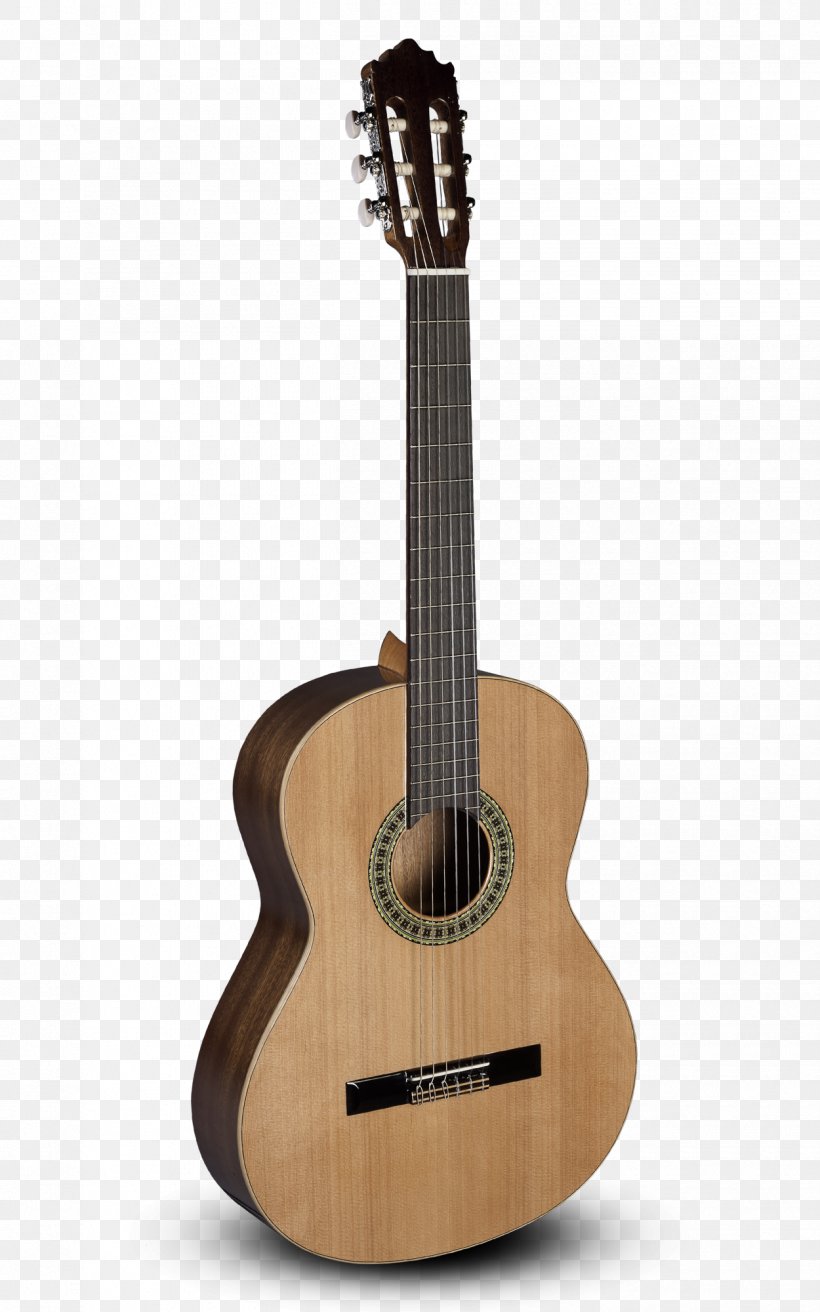 Alhambra Classical Guitar Cutaway Steel-string Acoustic Guitar, PNG, 1250x2000px, Alhambra, Acoustic Electric Guitar, Acoustic Guitar, Acousticelectric Guitar, Cavaquinho Download Free