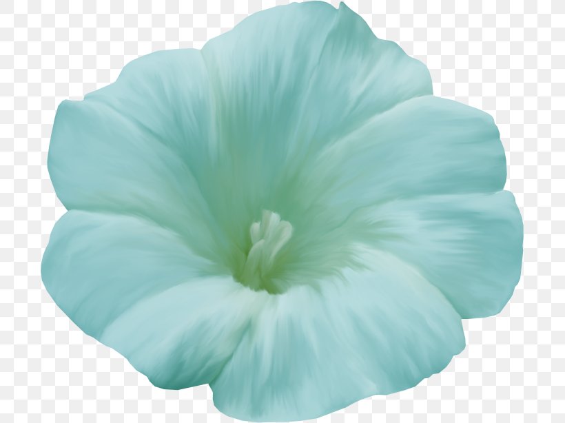 Flower Petal Floral Design Poppy Blue, PNG, 701x614px, Flower, Blue, Floral Design, Flowering Plant, Green Download Free