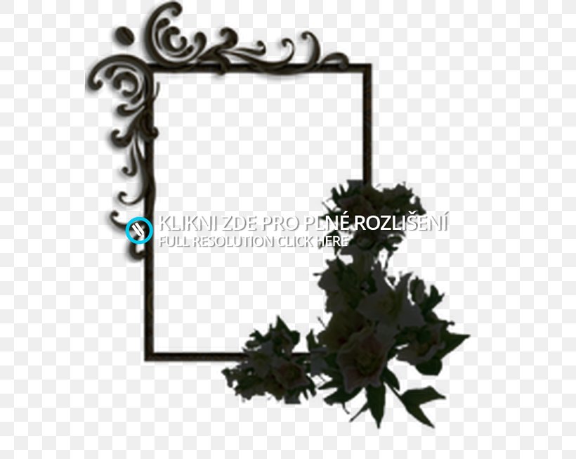 Picture Frames Leaf Font, PNG, 578x653px, Picture Frames, Grapevine Family, Iron, Leaf, Picture Frame Download Free