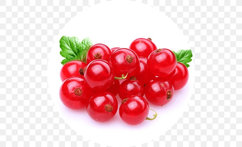 Redcurrant Blackcurrant Fruit Gelatin Dessert Berry, PNG, 500x500px, Redcurrant, Acerola, Acerola Family, Apple Pie, Artikel Download Free