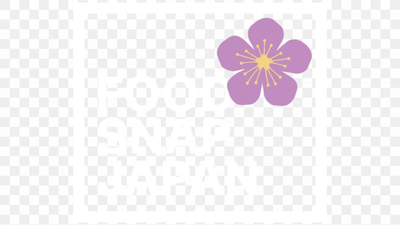 Desktop Wallpaper Computer Violet Font, PNG, 1600x900px, Computer, Family, Flower, Flowering Plant, Lilac Download Free