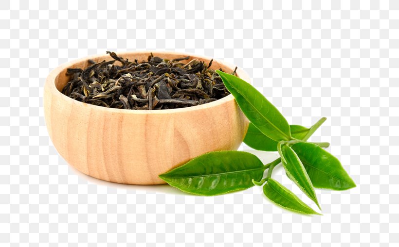 Hōjicha Green Tea Nilgiri Tea White Tea, PNG, 661x509px, Hojicha, Assam Tea, Bai Mudan, Bancha, Biluochun Download Free