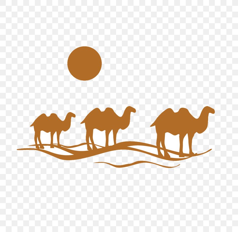 Package Tour Travel Agent Clip Art Travel Website, PNG, 800x800px, Package Tour, Allinclusive Resort, Arabian Camel, Bookingcom, Camel Download Free