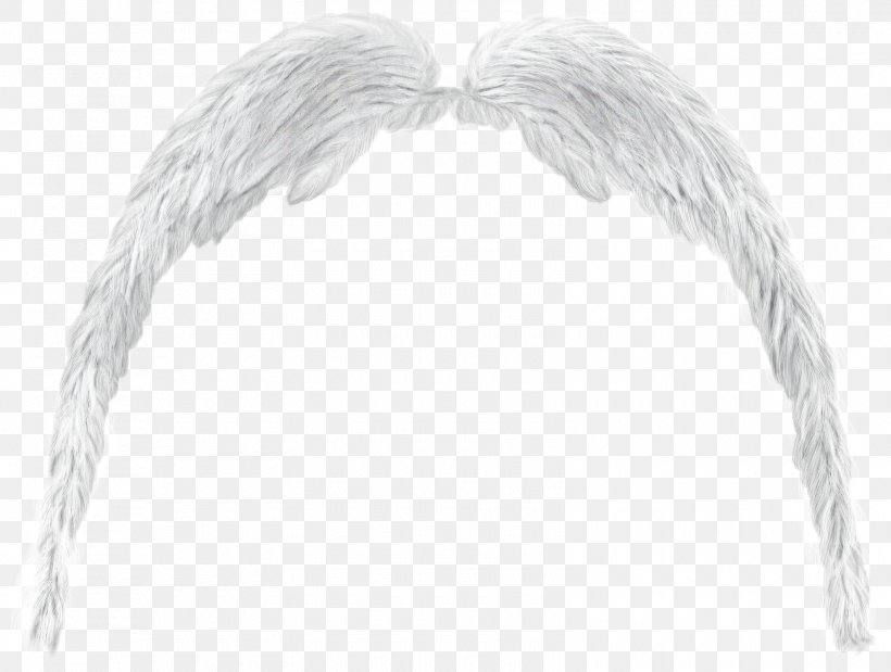 Angel Wing Butterfly Angel Wing, PNG, 1600x1208px, Wing, Angel, Angel Wing, Black And White, Blog Download Free