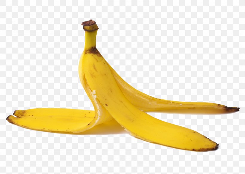 Banana Peel, PNG, 1600x1142px, Banana Peel, Banana, Banana Family, Cooking Plantain, Food Download Free