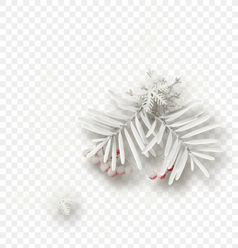 Christmas Decoration Christmas Ornament Blog Pine, PNG, 1994x2078px, Christmas Decoration, Blog, Body Jewellery, Body Jewelry, Christmas Download Free