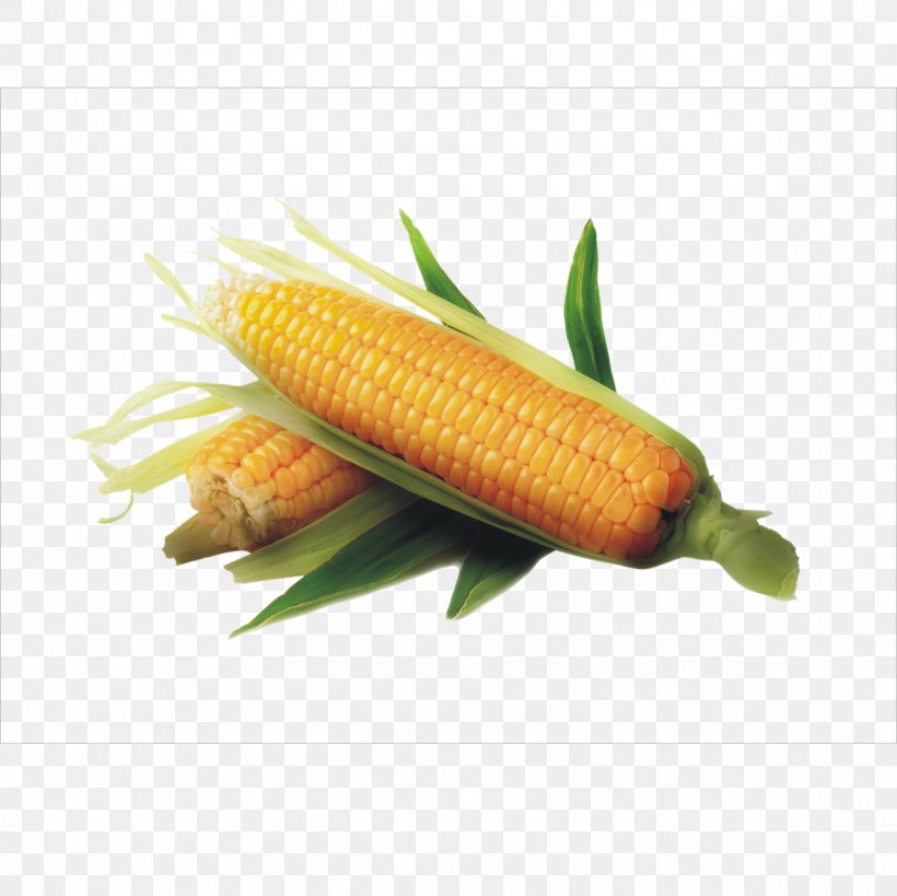 Maize Corncob Icon, PNG, 1181x1181px, Maize, Autumn, Carrot, Commodity, Corn On The Cob Download Free