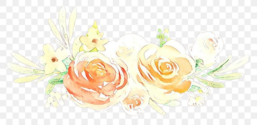 Orange, PNG, 800x400px, Orange, Flower, Plant, Rose, Rose Family Download Free
