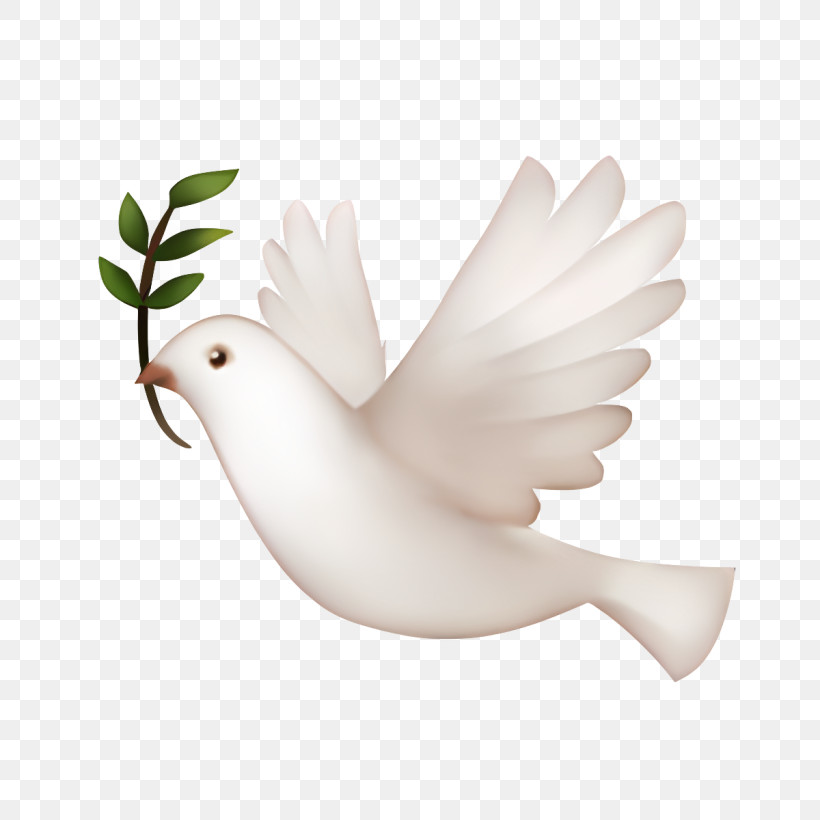 Birds - White Dove With Olive Branch Symbol PNG