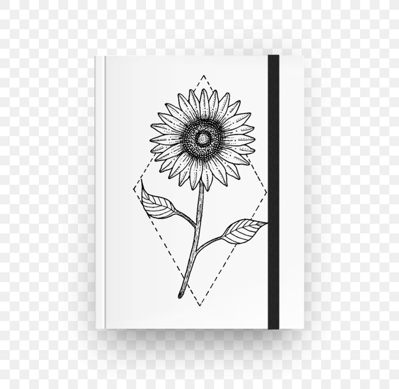 Drawing Art Paper Towel Flower, PNG, 800x800px, Drawing, Art, Black And White, Contemporary Art Gallery, Creativity Download Free