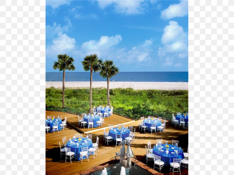 The Westin Hilton Head Island Resort & Spa Westin Hotels & Resorts Marriott International, PNG, 1024x768px, Resort, Caribbean, Hilton Head Island, Hilton Hotels Resorts, Hotel Download Free