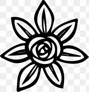 Petal - Wall Decal Sticker Polyvinyl Chloride PNG