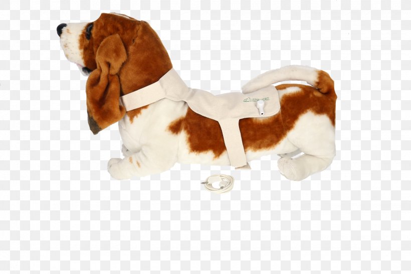 Beagle Puppy Dog Breed Companion Dog Stuffed Animals & Cuddly Toys, PNG, 1535x1024px, Beagle, Breed, Carnivoran, Companion Dog, Dog Download Free