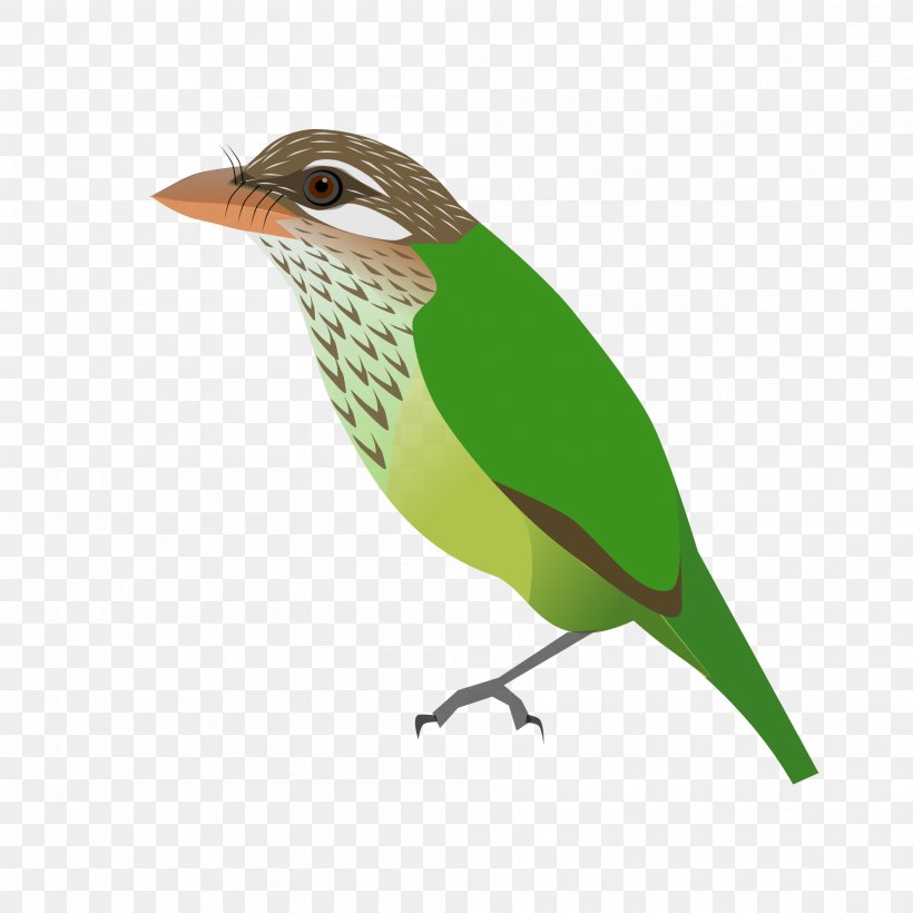 Finch Old World Flycatcher Common Nightingale Sparrow, PNG, 2000x2000px, Finch, Beak, Bird, Common Nightingale, Drawing Download Free