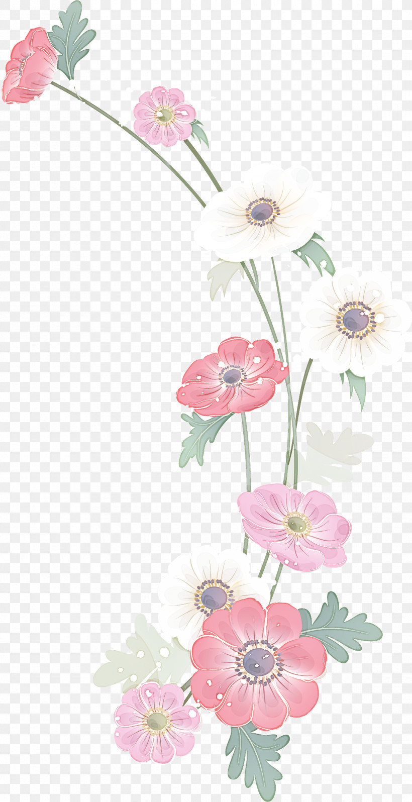 Flower Border Flower Background Floral Line, PNG, 1140x2219px, Flower Border, Cut Flowers, Floral Design, Floral Line, Flower Download Free