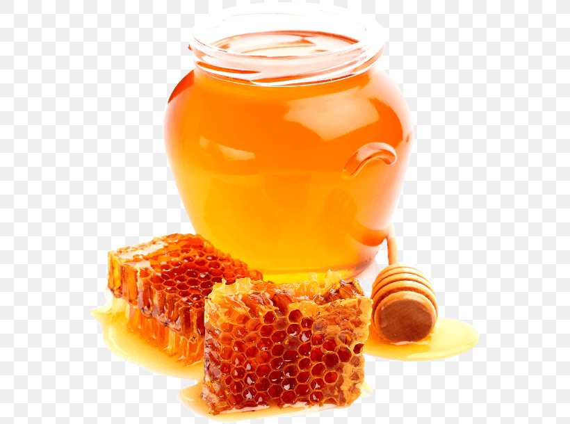 Honey Stock Photography Herb Babywasser Von Geburt An Babylove Image, PNG, 566x610px, Honey, Bee, Fruit Preserve, Herb, Honeycomb Download Free