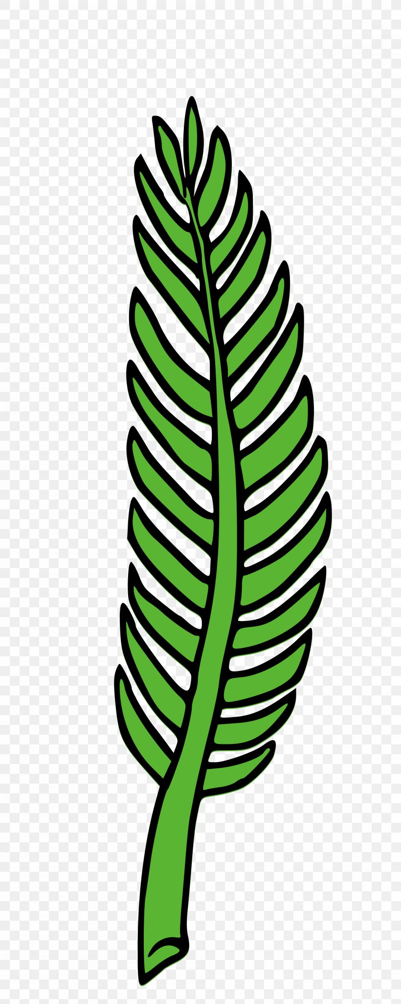 Palm Branch Hauteville Leaf Clip Art, PNG, 2000x5000px, Palm Branch, Arecaceae, Artwork, Coat Of Arms, Document Download Free